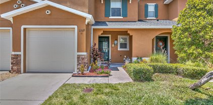 2522 White Sand Lane, Clearwater