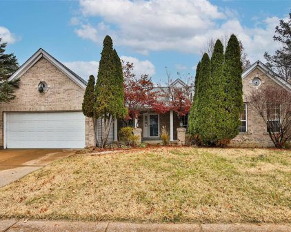 9851 Tiffany Square  Parkway, St Louis