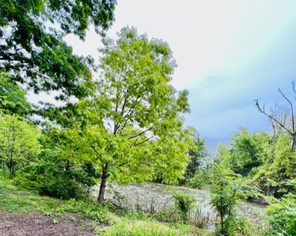 12644 Green  Road, West Fork