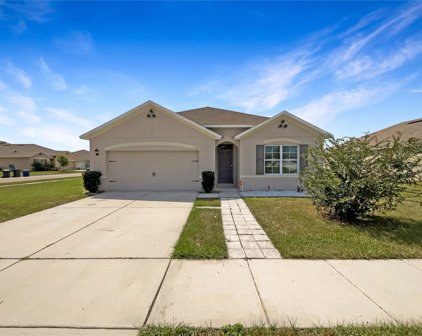 1737 Laurel Oaks Drive, Bartow