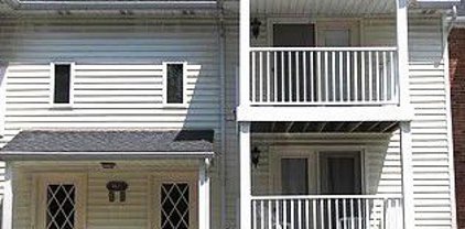 4621 Chestnut Ridge  Road Unit D, Amherst-142289