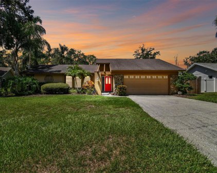 440 Oak Creek Lane, Palm Harbor