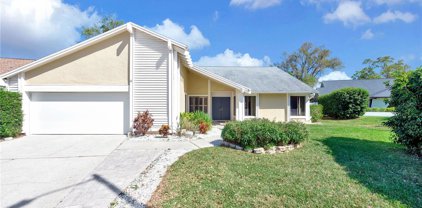 14603 Village Glen Circle, Tampa