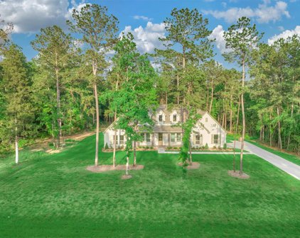 15706 Republic Grand Ranch Road, Willis