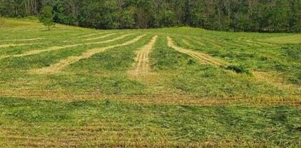 Lot 8 Calico Rock  Rd, Rocky Mount