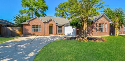 22326 Hollybranch Drive, Tomball