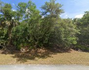 12997 W Baltic Ivy Street, Crystal River image