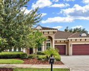 6325 Knob Tree Drive, Lithia image