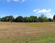 6.03 ACRES Dailey Street, Boaz image