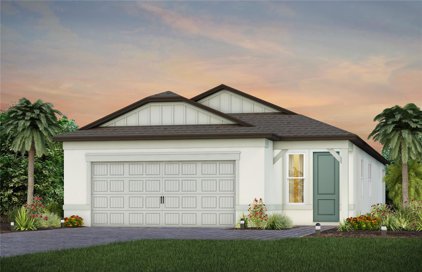 6135 Shorebird Branch, Land O' Lakes