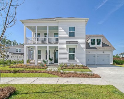 196 Clearblue Loop, Summerville
