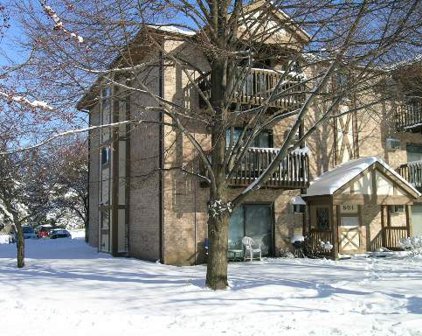 801 S Dwyer Avenue Unit #E, Arlington Heights