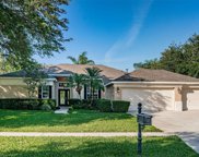 2806 Clover Dew Court, Valrico image