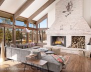 1036 Red Mountain Road, Aspen image
