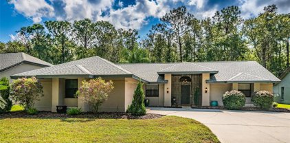 616 Waterford Circle E, Tarpon Springs