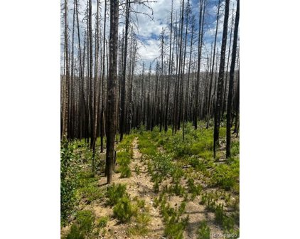 Forest Road 129, Bellvue