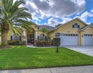 1118 Carriage Park Drive, Valrico image