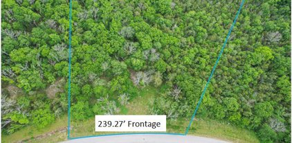 621 Countess Nicole Ct, Franklin