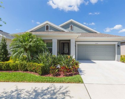 5505 Silver Sun Drive, Apollo Beach