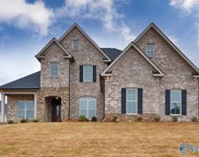 139 Stone River Road, Huntsville image