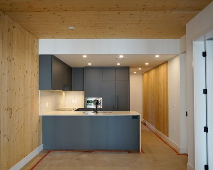 310 Salter Street Unit 202, New Westminster