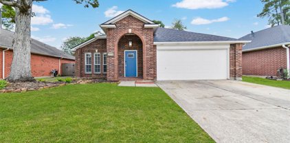 21516 Towerguard Drive, Kingwood