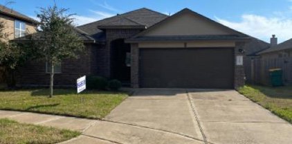 9907 Channel Set Way, Rosharon