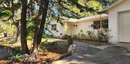 1203 Castleworks Lane, Tarpon Springs