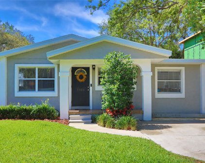 3308 W Fielder Street, Tampa
