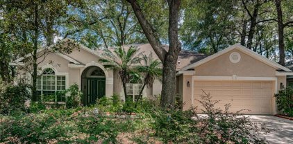 2102 Fawn Meadow Drive, Valrico