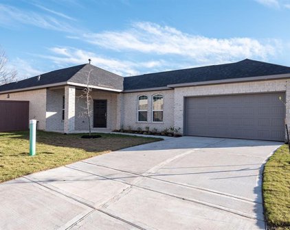 310 Barred Owl Court, Clute