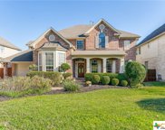 10656 Bramblecrest Drive, Austin image