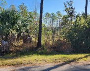 LOT 5 Banyan Street, Eustis image