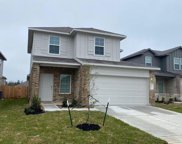 5322 Pinecliff Grove Court, Spring image