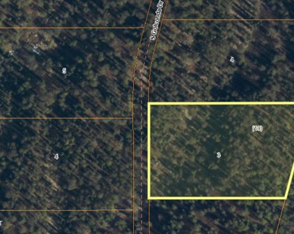 L3 B19 Loriens Trail, Talkeetna