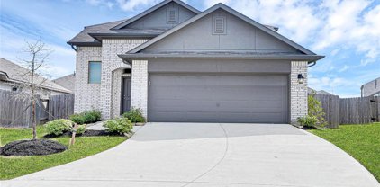 20139 Moonlight Falls Court, Richmond