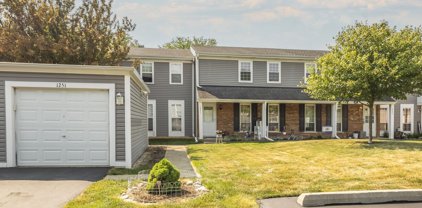 1251 Downing Street Unit #1, Roselle