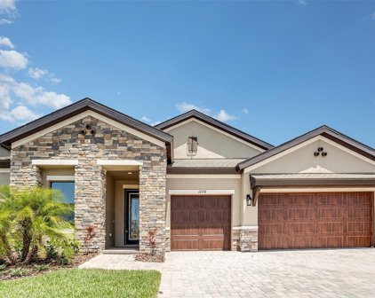 12792 Mangrove Forest Drive, Riverview