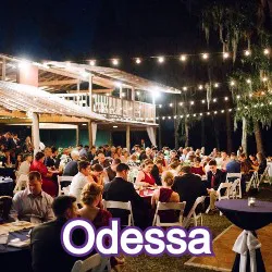 Odessa Florida Homes for Sale