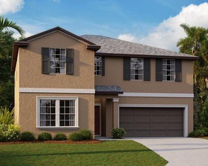 9893 Branching Ship Trace, Wesley Chapel