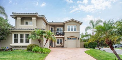 1041 Goldeneye View, Carlsbad