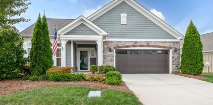 17109 Courtside Landing  Drive, Cornelius