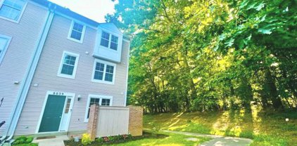 8039 Harbor Tree Way, Montgomery Village