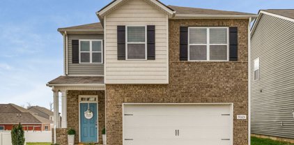 9165 War Eagles Way, Ashland City