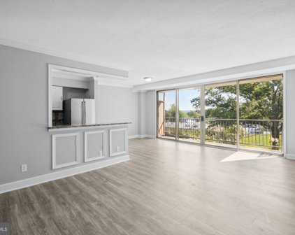 4410 Oglethorpe St Unit #316, Hyattsville