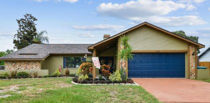 3670 Scarlet Tanager Drive, Palm Harbor