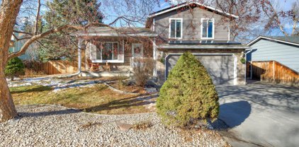 2406 Arctic Fox Dr, Fort Collins