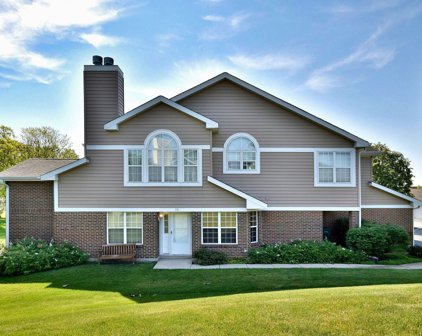791 W Happfield Drive, Arlington Heights