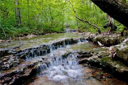 000000 County Road 108, Eureka Springs