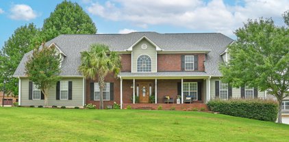 335 Island Green Lane, Inman